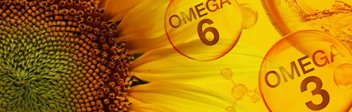 Omega-3 : Omega-6 czyli o zdrowej proporcji w witaminie F